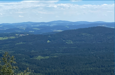 Berg-Tage